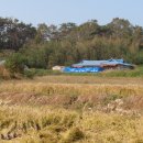 태안군 남면 농가주택,대지,전,답,임야(1,880평/1억3천만원)- 급매물 이미지