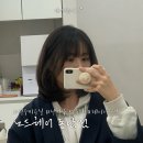 동남지구 노드헤어 단발 레이어드 C컬펌 후기 : 드디어 인생 머리 찾음!