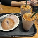 금주농장 | [왓츠인마이블로그] 3주차 수영후기+부산여행(god콘서트)