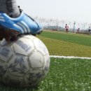 풍영체육시설단지 축구장 이미지