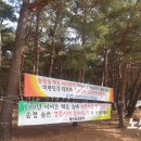 해송개발 이미지