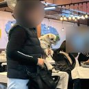 삼다상회 | 여수맛집추천 하멜등대 앞 낭만상회 33번포차에서 돌문어삼합 먹은 후기