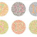 색각이상[color blindness] 이미지