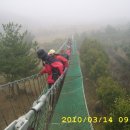 세인2010