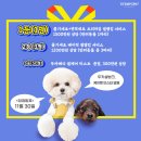 메디케이 이미지