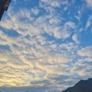 백세민박 이미지