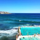 바다클럽하우스 이미지