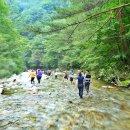 연가리맑은터 | <여름계곡> 방태산 아침가리골 트레킹