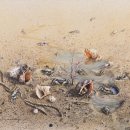 생명의소리Ⅰ 이미지