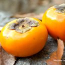 우리고장 로컬푸드 이미지