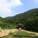와룡산계곡힐