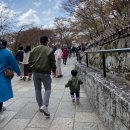미키하우스 | 미키하우스 스패츠 100 미키하우스 바지 100 사이즈 내돈내산 후기｜돌아기 바지 등원룩 추천