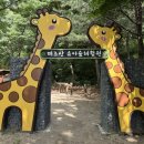태조산 유아숲체험원, 천안 아이와 함께 가볼만한 곳