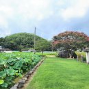 조비마을회관 이미지