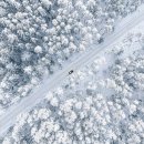 눈(雪)에 관한 흥미로운 사실들 이미지