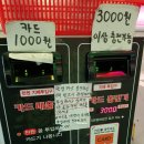 꿀잼코인노래연습장 이미지