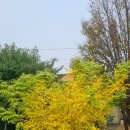 만세교검문소 버스정류장(41400) | 경기 옛길 "경흥길6 -1길, 만세교길" "신북 행정복지센터 ↔ 영중농협"(2024,10,12)