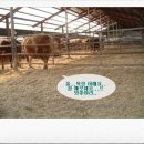 한우나라 농장 이미지