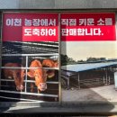 금포농장 네이버블로그