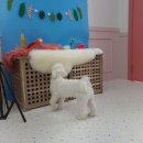 그루밍_light 이미지