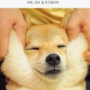 공감 이미지
