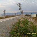 나그네길 이미지