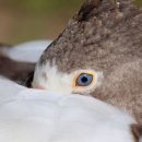 SBS 노래연습장 네이버블로그