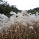 햇님쉼터한의원 이미지