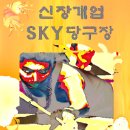 SKY 당구장 이미지