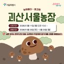 마동농장 네이버블로그