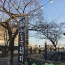 삼미흑돼지중문점 | 제주중문 새벽 3시까지 하는 흑돼지 맛집! 삼미흑돼지 중문점 두께 미친 오겹살 후기