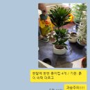 닥터가든경남점
