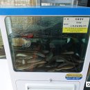 풍천민물장어직판장셀프장어미락