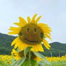 난정낚시터 이미지