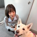 풍이농장 이미지