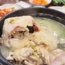 동백삼계탕 | 부산 해운대맛집 | 동백삼계탕 내돈내산 후기