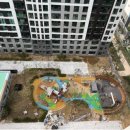 분당-299 이미지