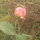 베말공원 이미지