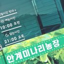 안계미나리농장 이미지