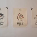 카츠 디나인(카츠 D9) 이미지