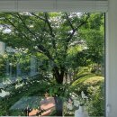 색연필화(야간) | 서울 무료전시 다양한 초록과 푸르름의 향연에 풍덩, 석촌호수 초록색 수집 2