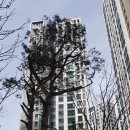 신촌자이공인중개사사무소 이미지