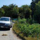 동보농장 이미지