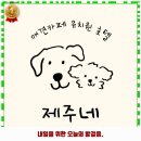 둥가둥가 펫살롱 | 신월6동 애견카페 제주네 리뷰와 주차, 예약, 1순위 바로 이 곳입니다.