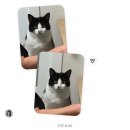 구구오리왕 | 05