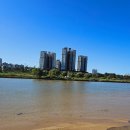 강가에서 이미지