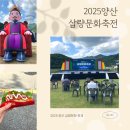 양산대로 | 2025 양산삽량문화축전 축제 주차장,프로그램,초대가수 후기