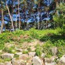 서곡리 마을회관 이미지