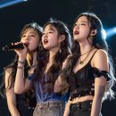 명성송이대게 이미지