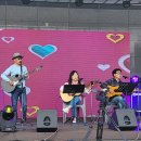 홍도야 우지마라 이미지